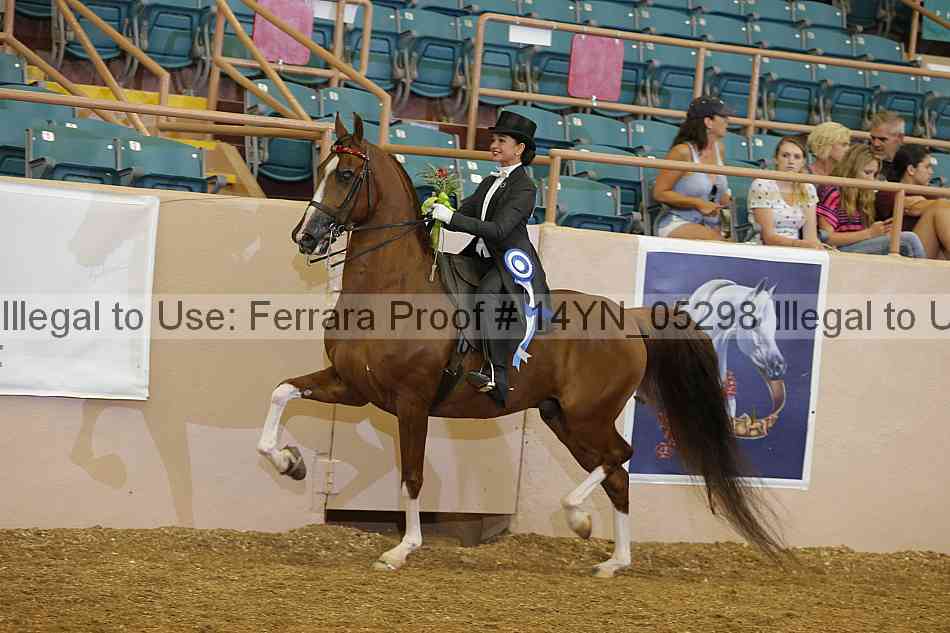 Proof 14yn_05298