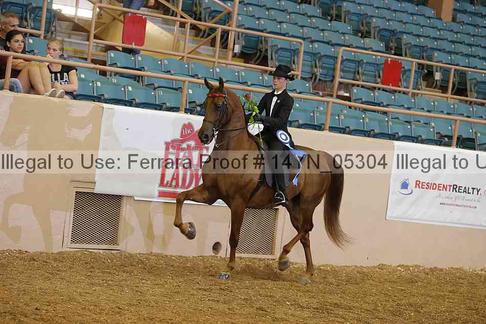 Proof 14yn_05304