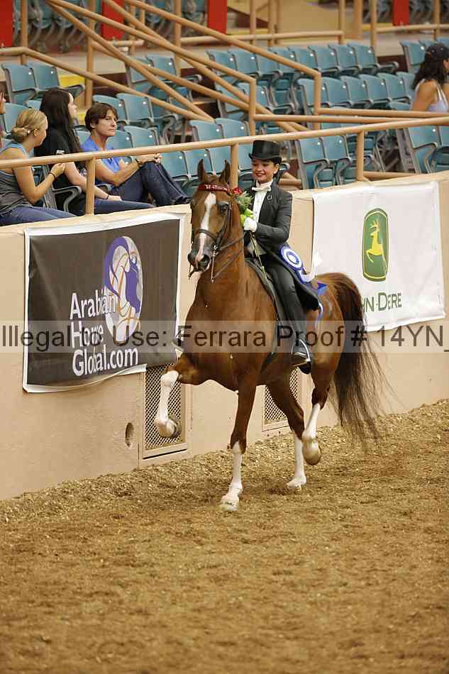 Proof 14yn_05305