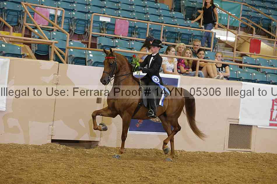 Proof 14yn_05306