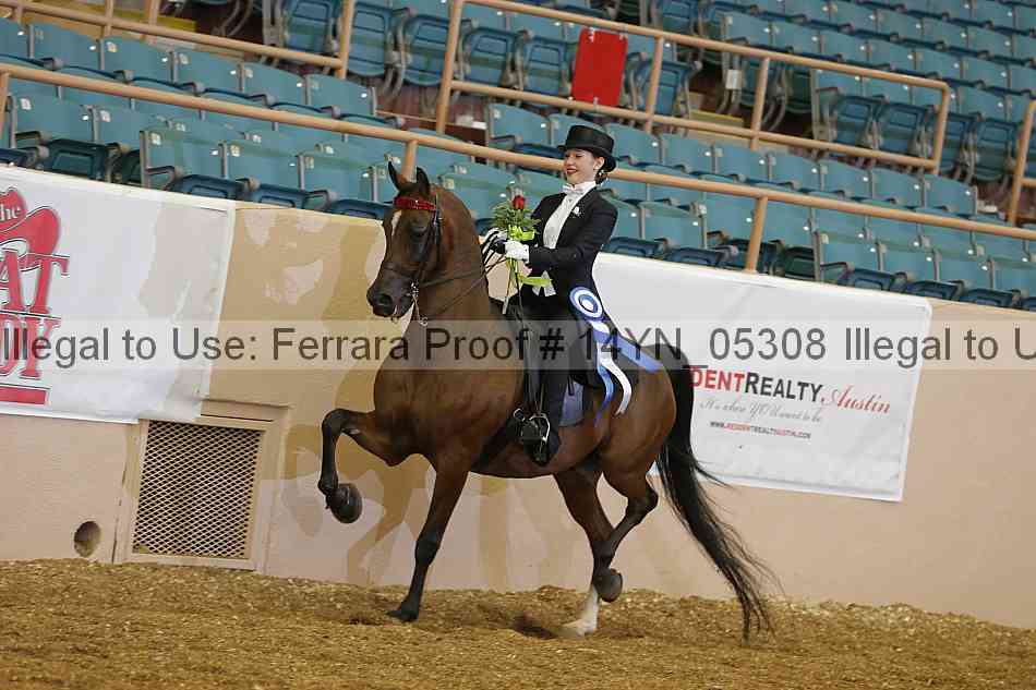 Proof 14yn_05308
