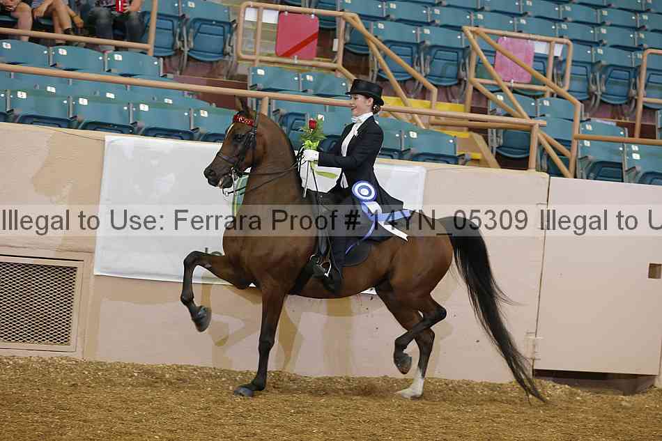 Proof 14yn_05309
