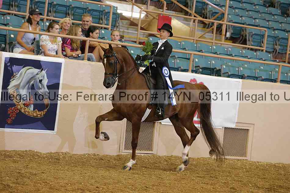 Proof 14yn_05311