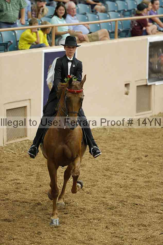 Proof 14yn_05312