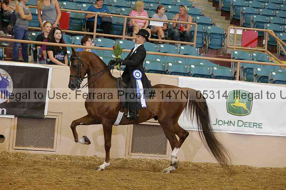 Proof 14yn_05314