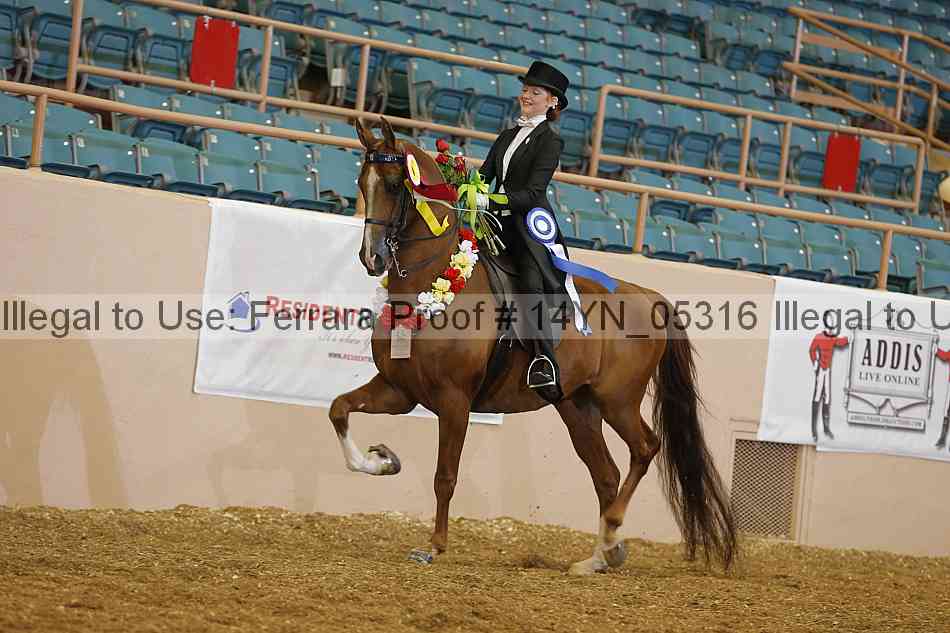 Proof 14yn_05316