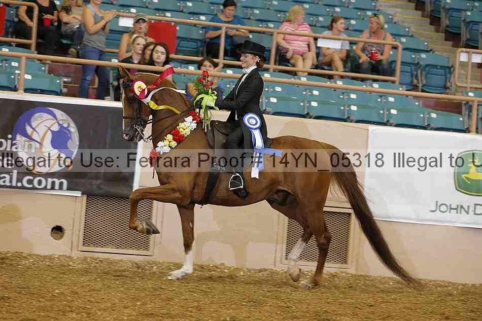 Proof 14yn_05318