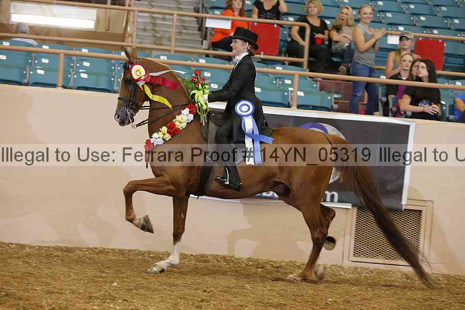 Proof 14yn_05319