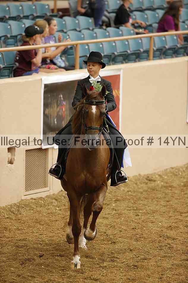 Proof 14yn_05320