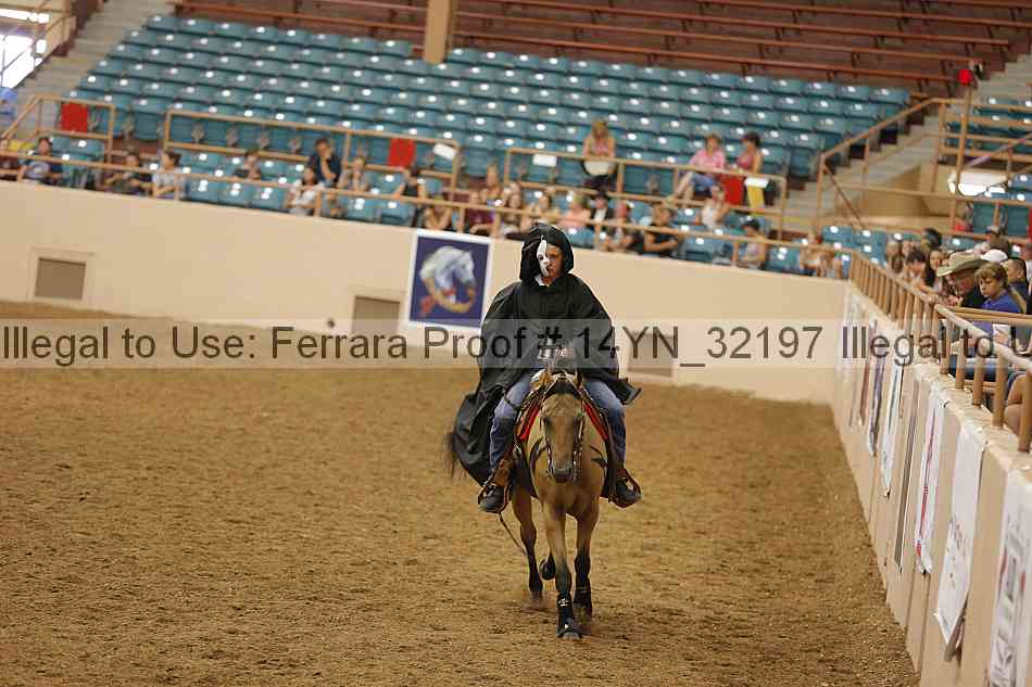 Proof 14yn_32197