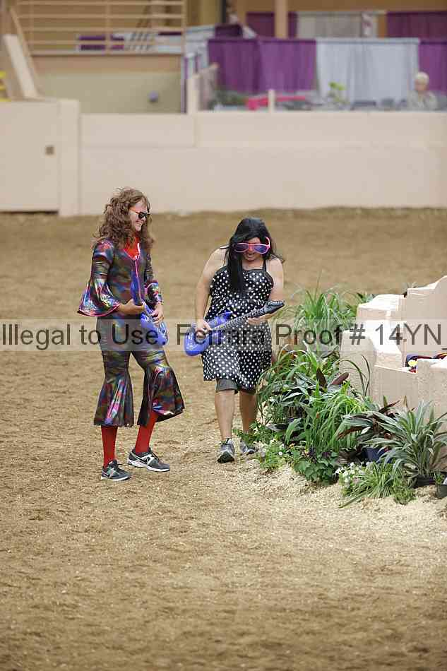 Proof 14yn_32253