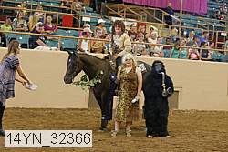 14yn_32366 proof