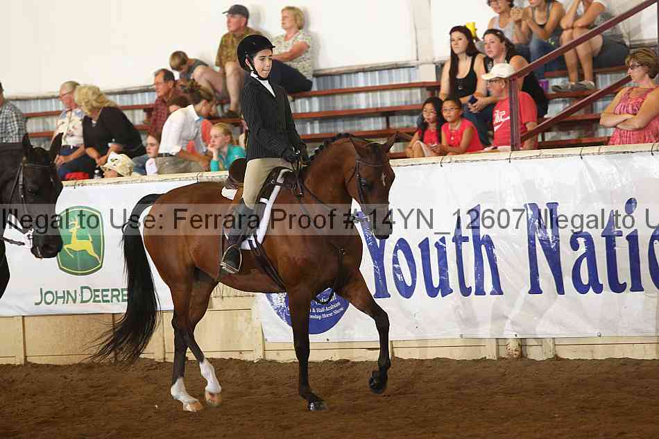 Proof 14yn_12607