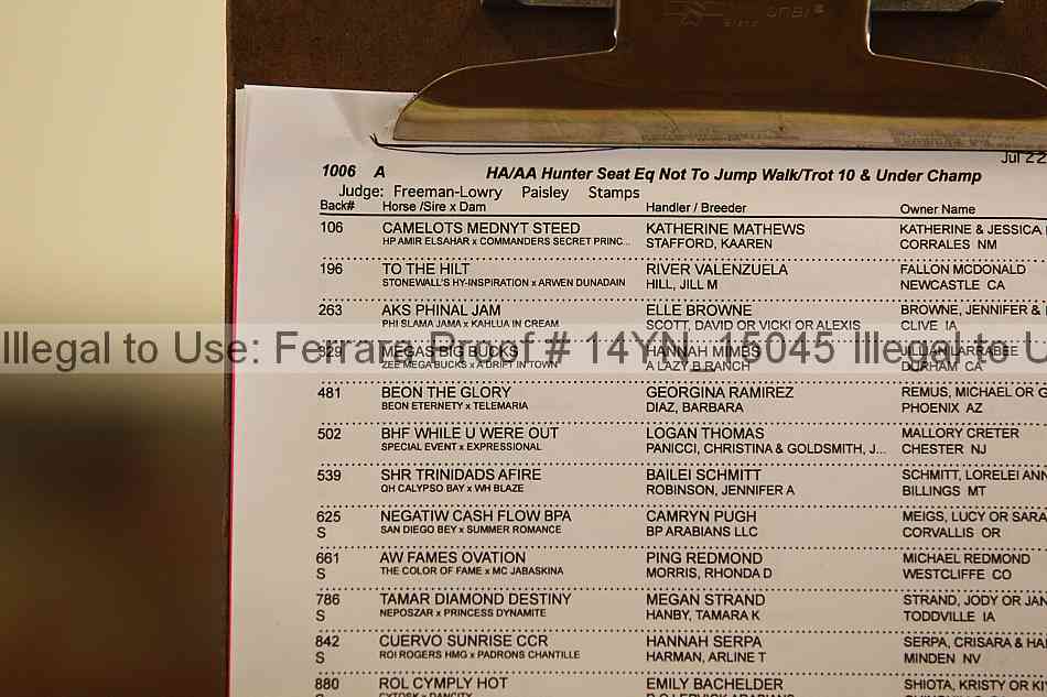 Proof 14yn_15045