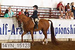 14yn_15123 proof