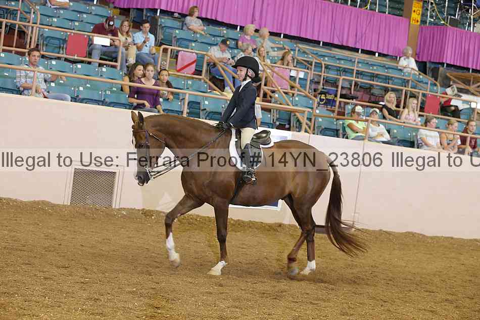 Proof 14yn_23806