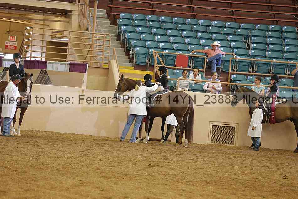 Proof 14yn_23883
