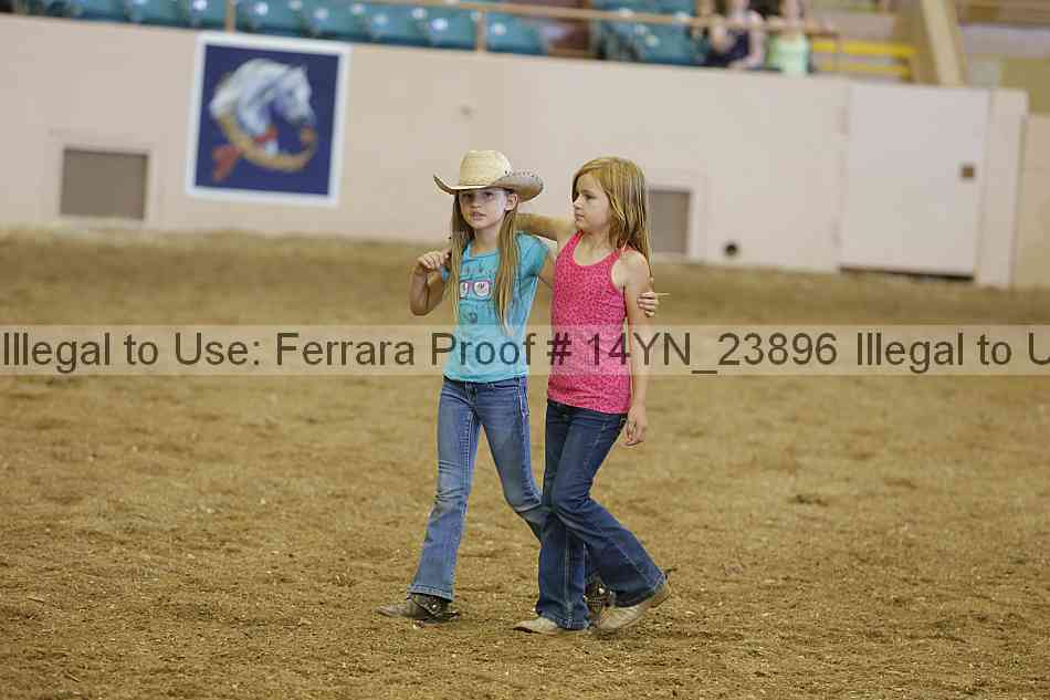 Proof 14yn_23896