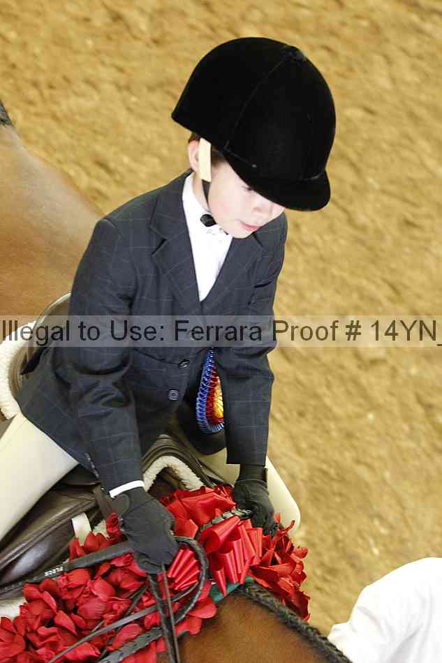 Proof 14yn_24005
