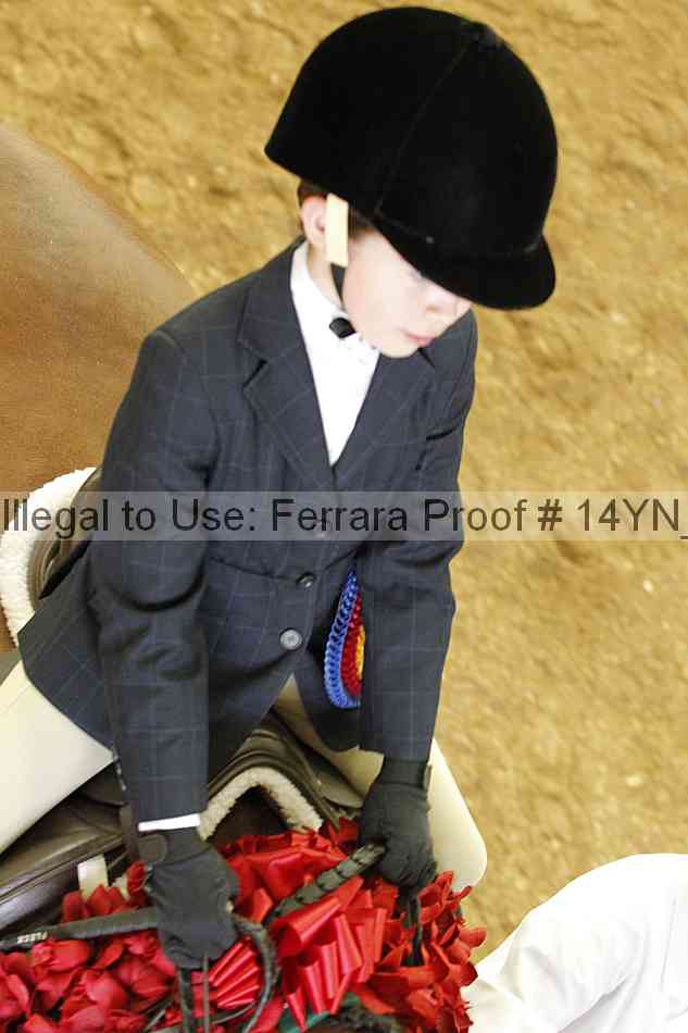 Proof 14yn_24006