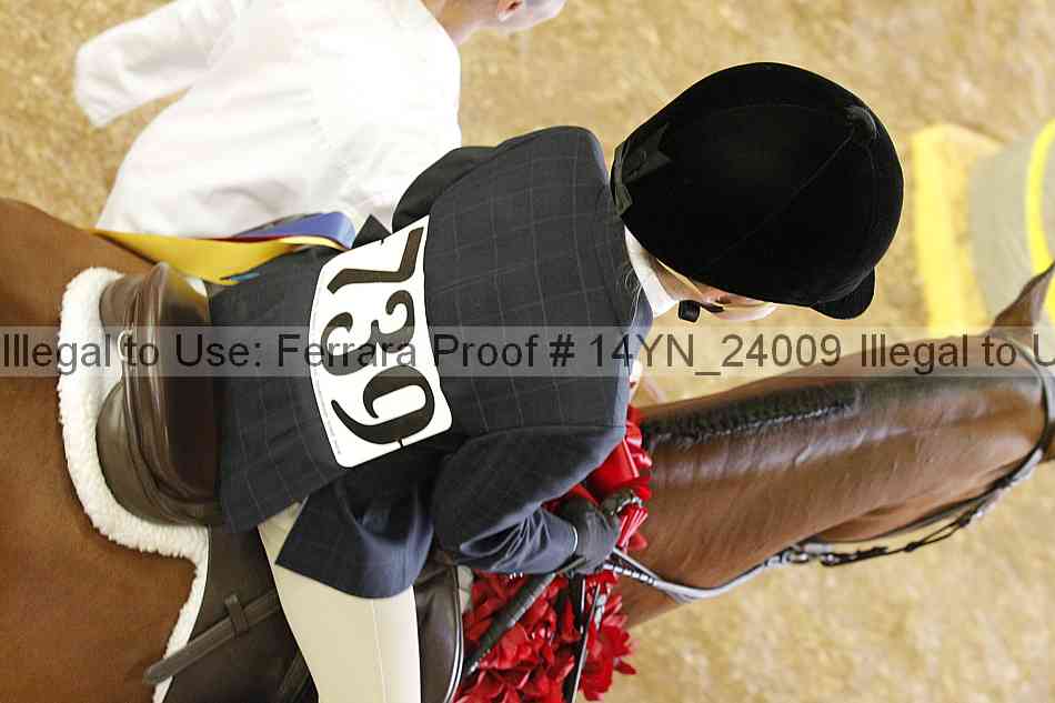 Proof 14yn_24009