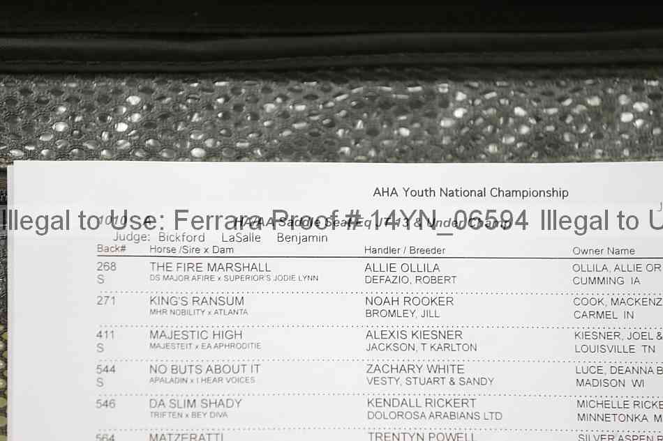 Proof 14yn_06594