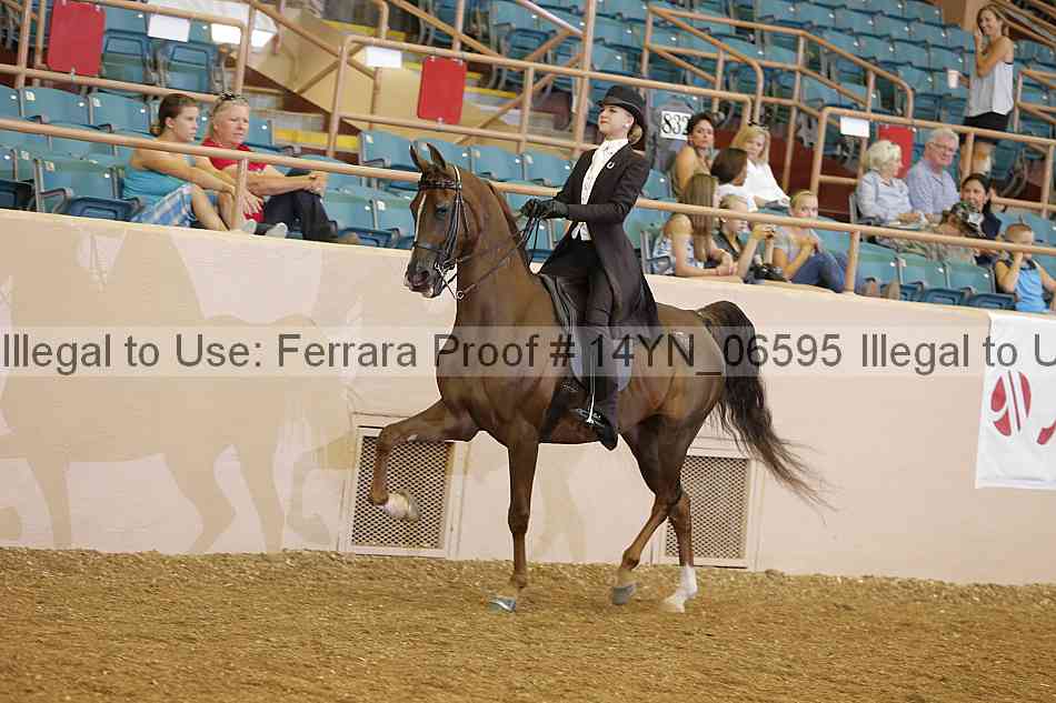 Proof 14yn_06595