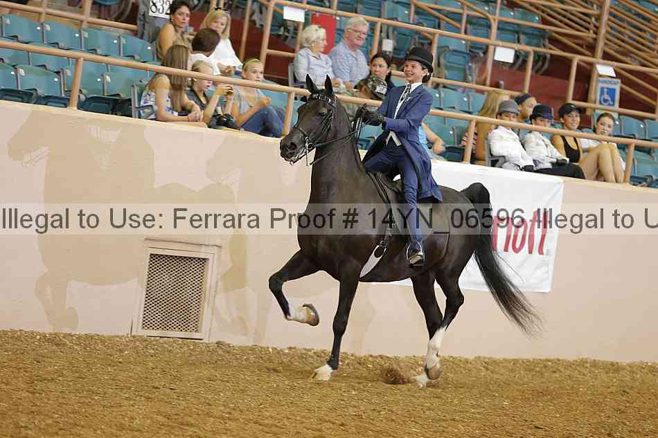 Proof 14yn_06596