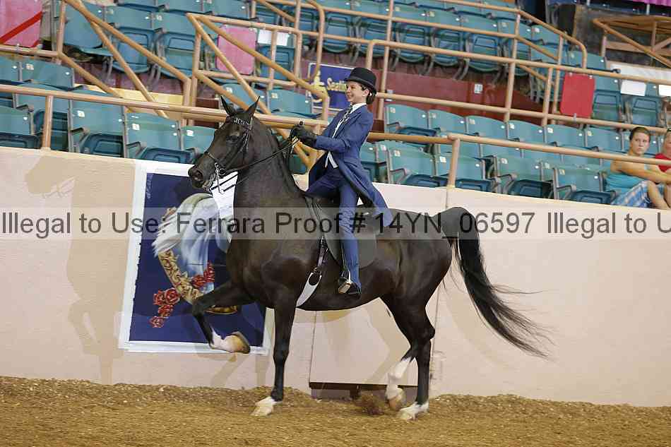 Proof 14yn_06597