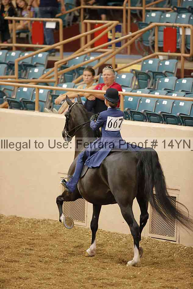 Proof 14yn_06598