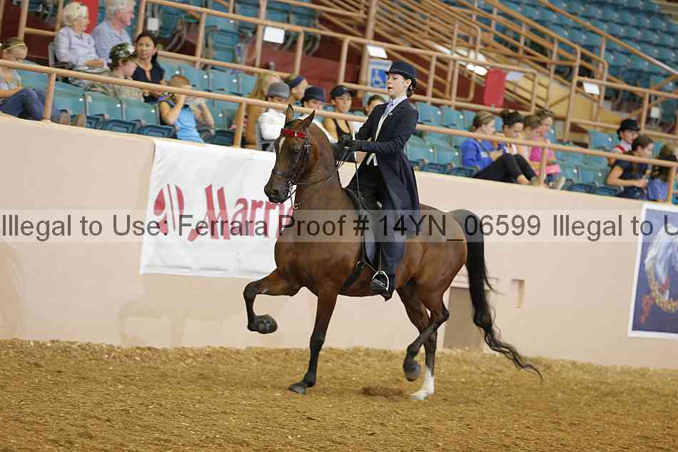 Proof 14yn_06599