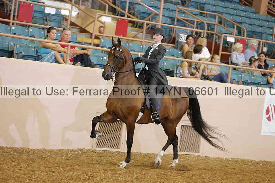 Proof 14yn_06601