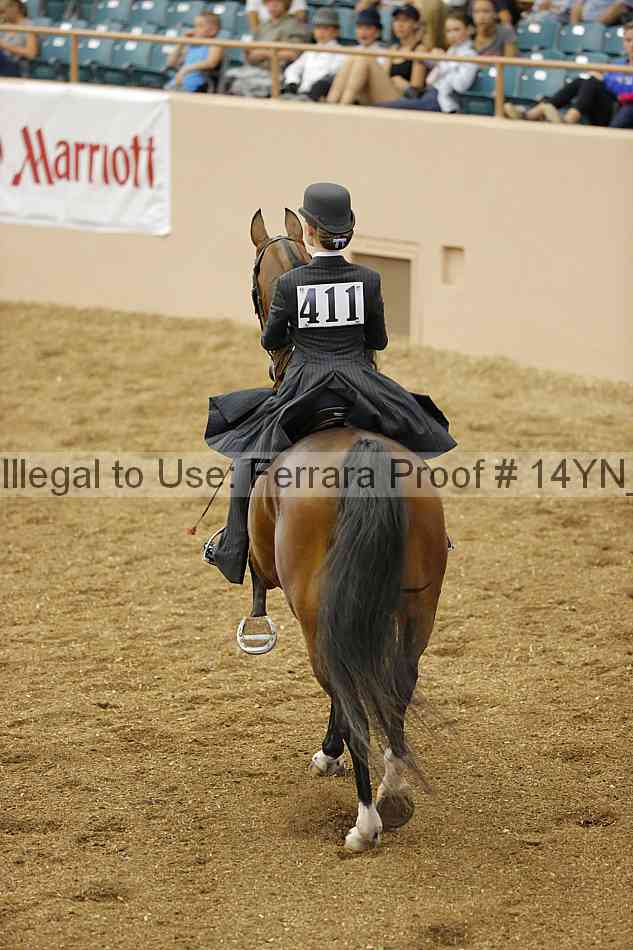 Proof 14yn_06602