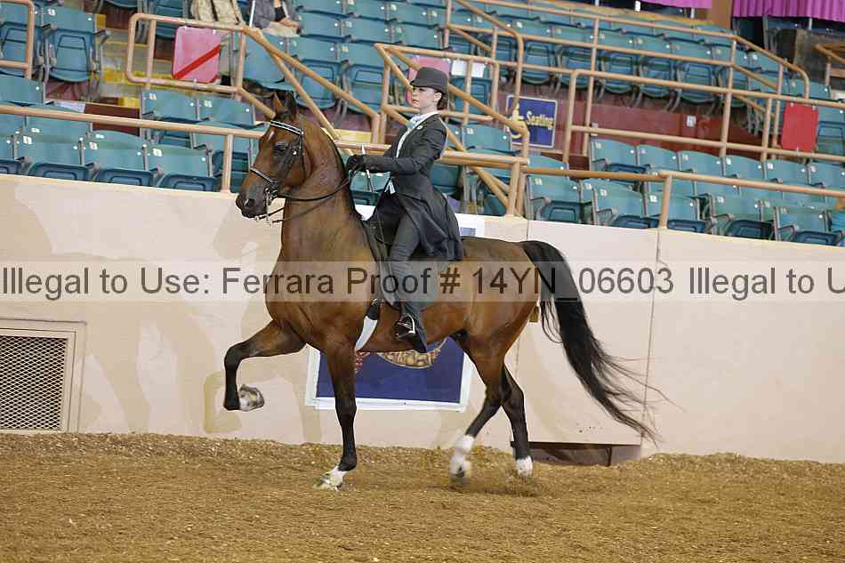 Proof 14yn_06603