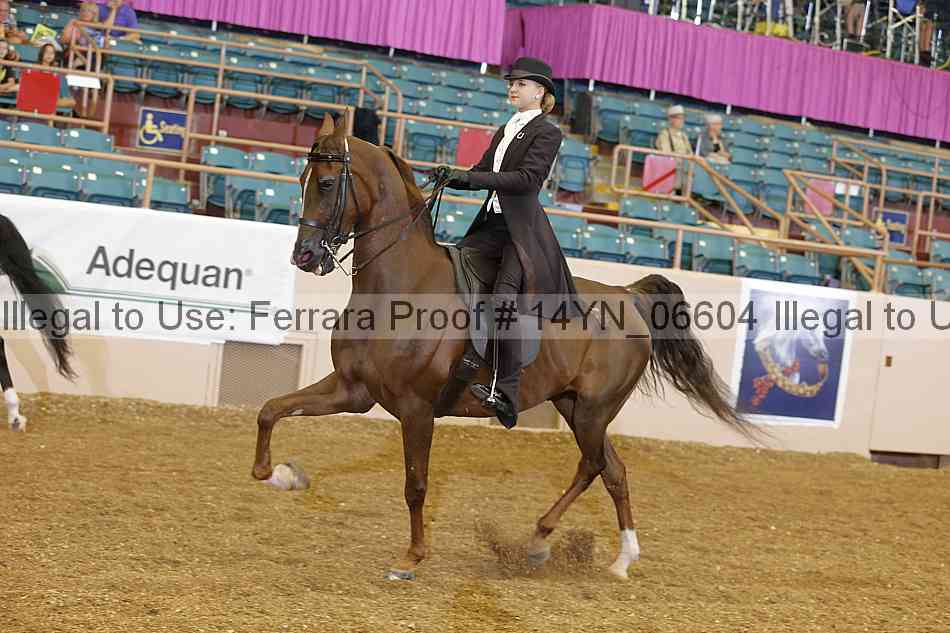 Proof 14yn_06604