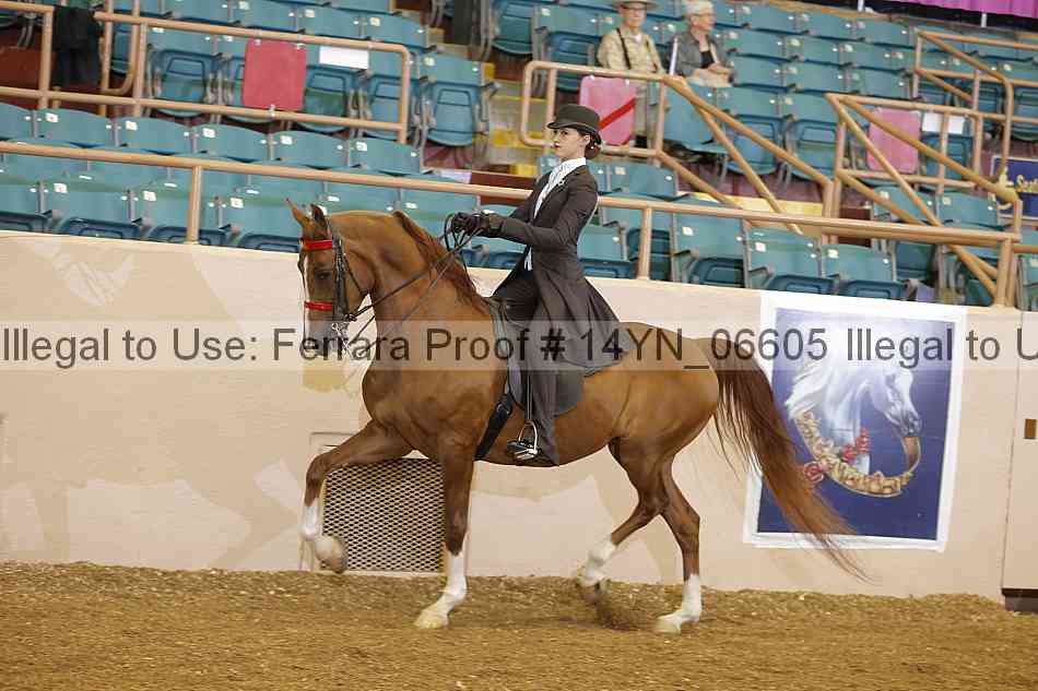Proof 14yn_06605