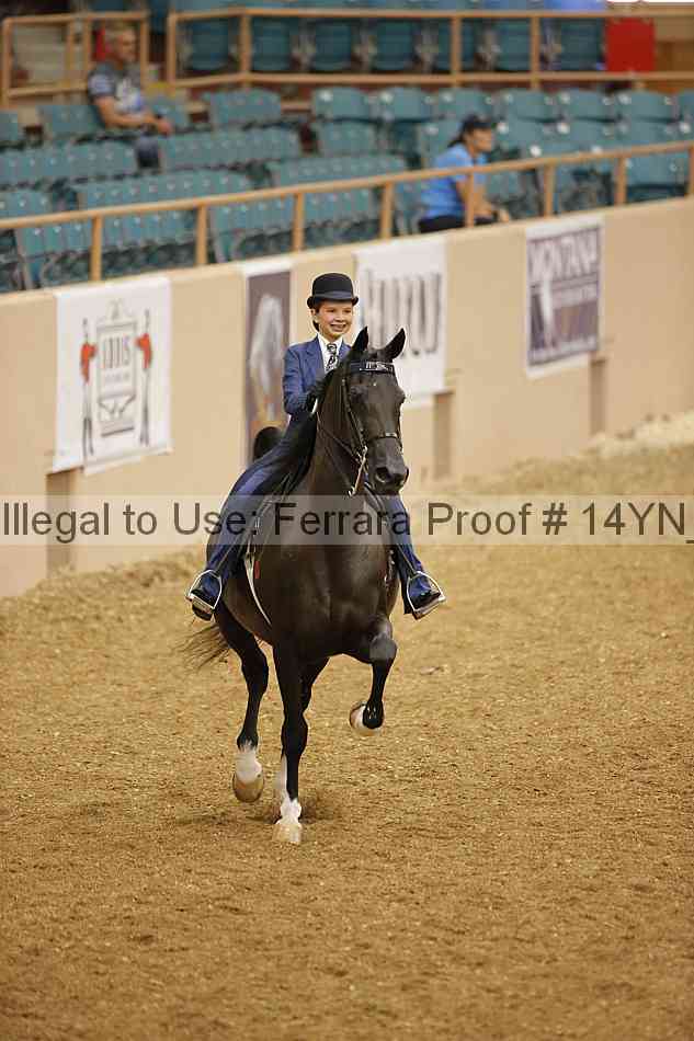 Proof 14yn_06606