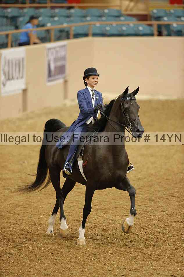Proof 14yn_06607