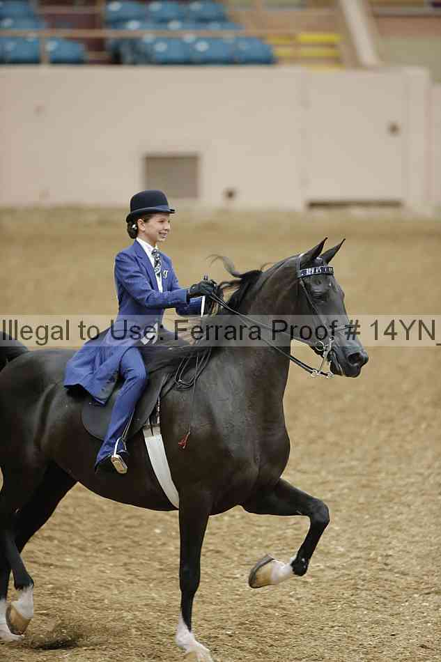 Proof 14yn_06608
