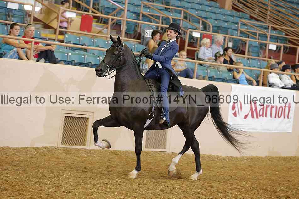 Proof 14yn_06609