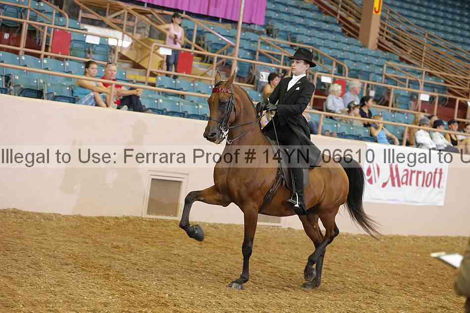 Proof 14yn_06610