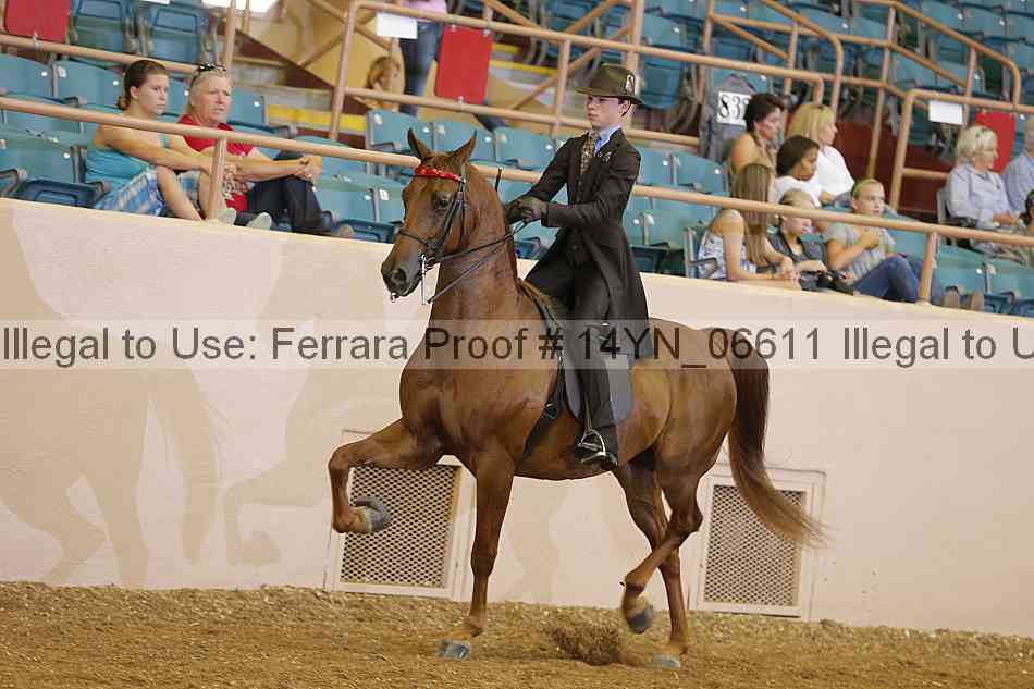 Proof 14yn_06611