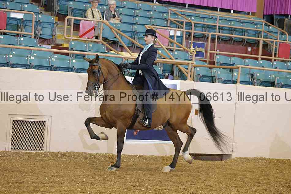 Proof 14yn_06613
