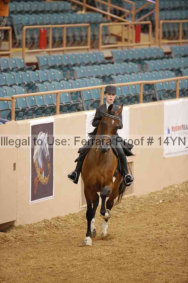 Proof 14yn_06614