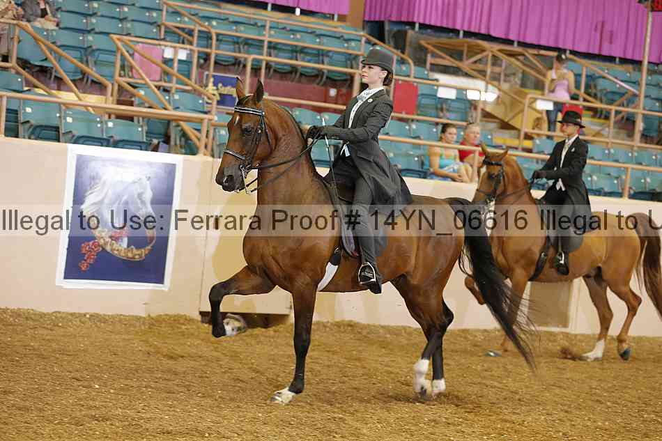Proof 14yn_06616