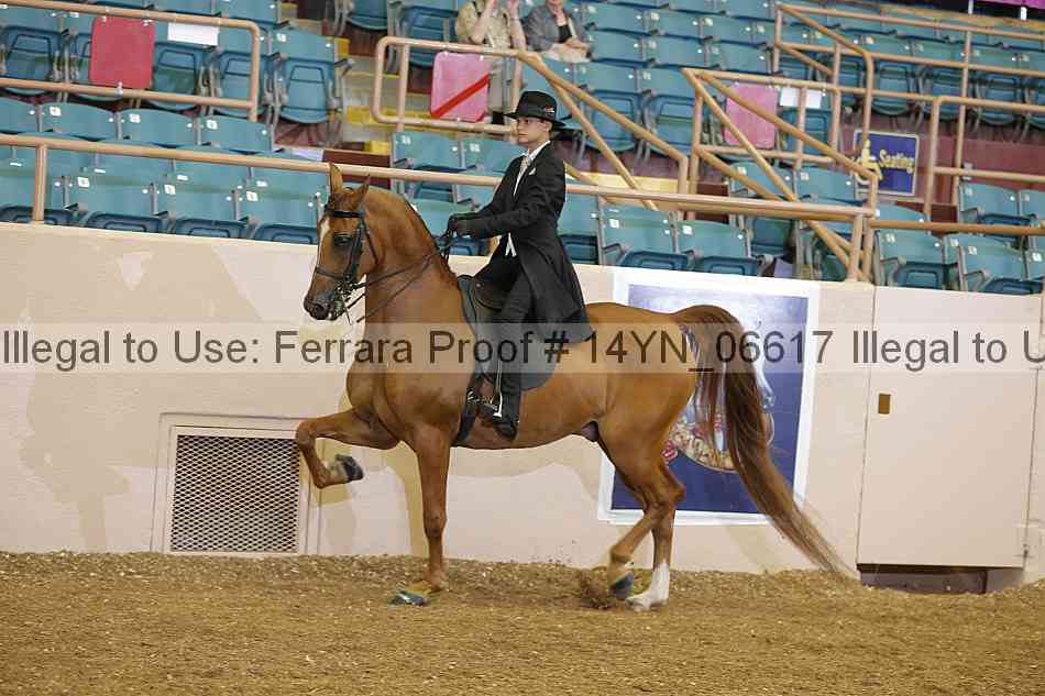 Proof 14yn_06617