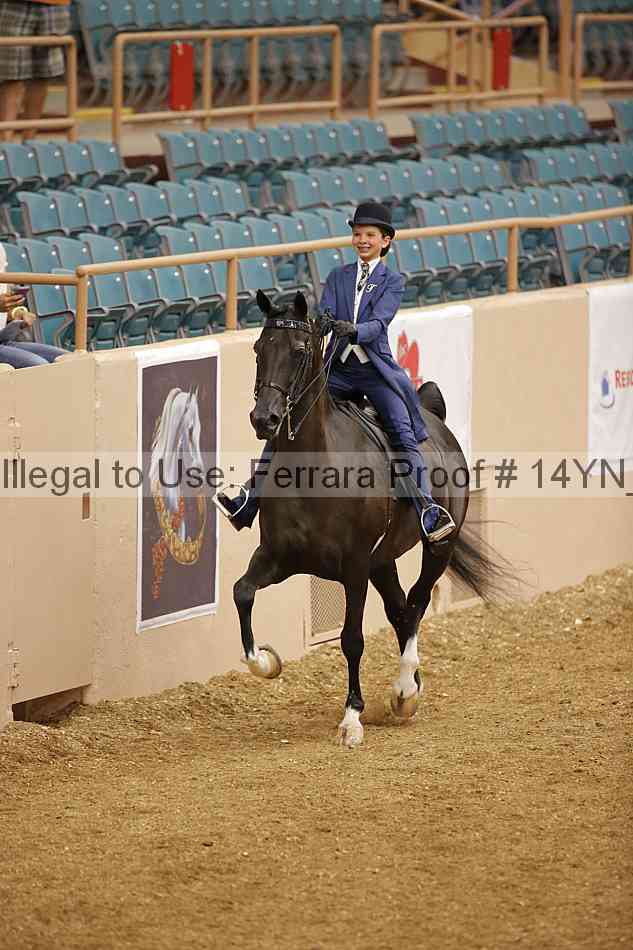 Proof 14yn_06618