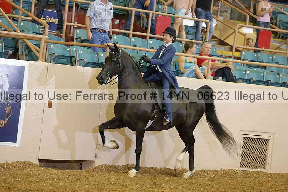 Proof 14yn_06623