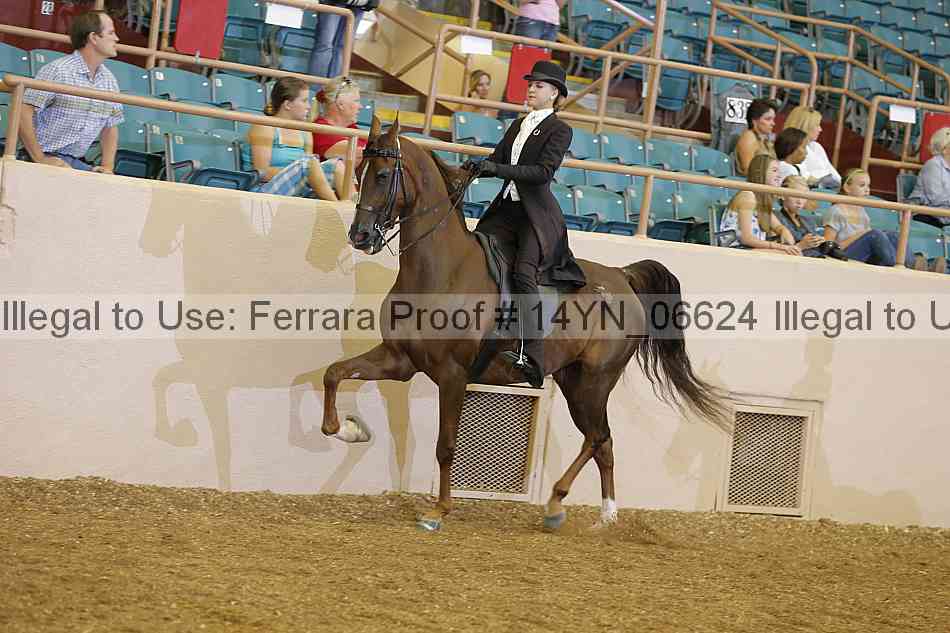Proof 14yn_06624