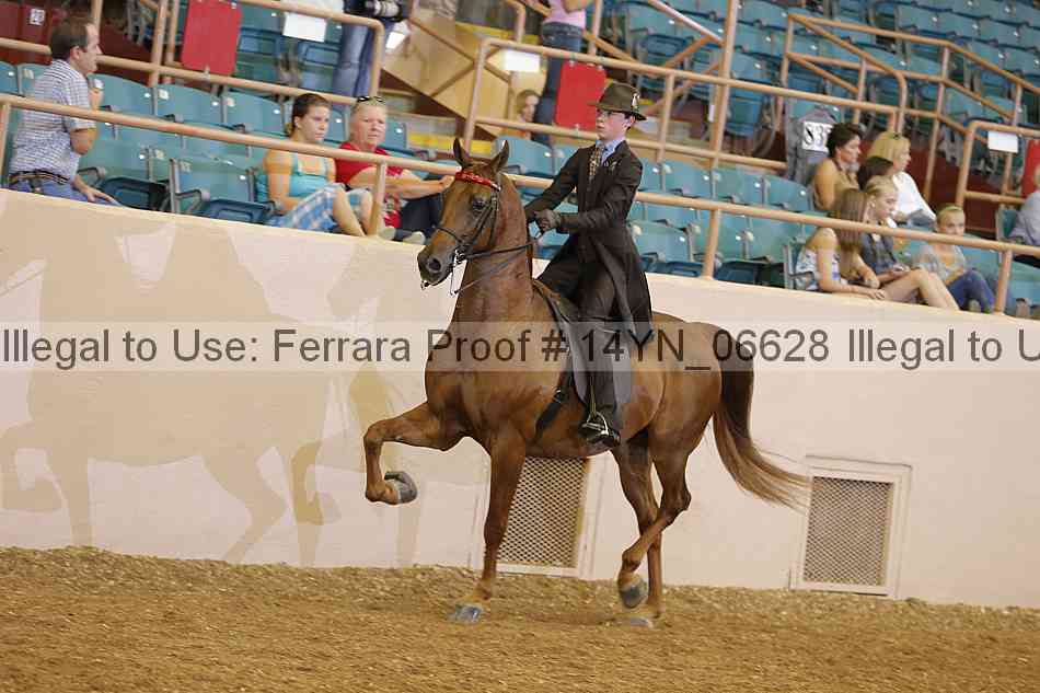 Proof 14yn_06628